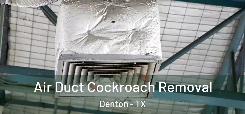 Air Duct Cockroach Removal Denton - TX