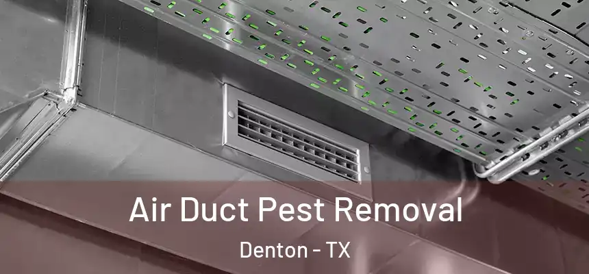 Air Duct Pest Removal Denton - TX