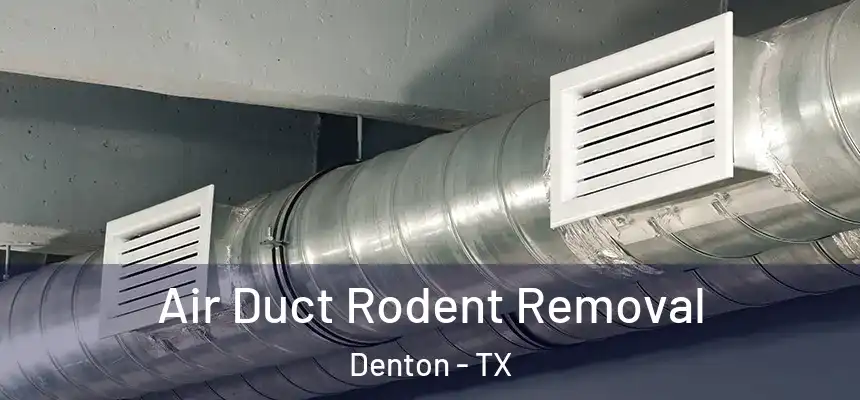Air Duct Rodent Removal Denton - TX