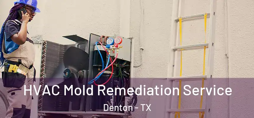 HVAC Mold Remediation Service Denton - TX