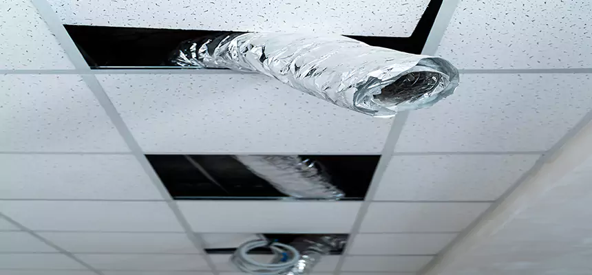 Affordable HVAC Sanitizing After Pest Removal in Denton
