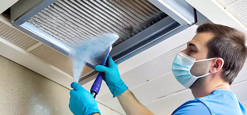 Proactive Dryer Vent & Auxiliary Duct Pollen Cleanup in Denton, TX
