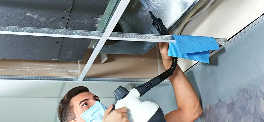 Our Air Duct Rodent Removal Services in Denton, TX