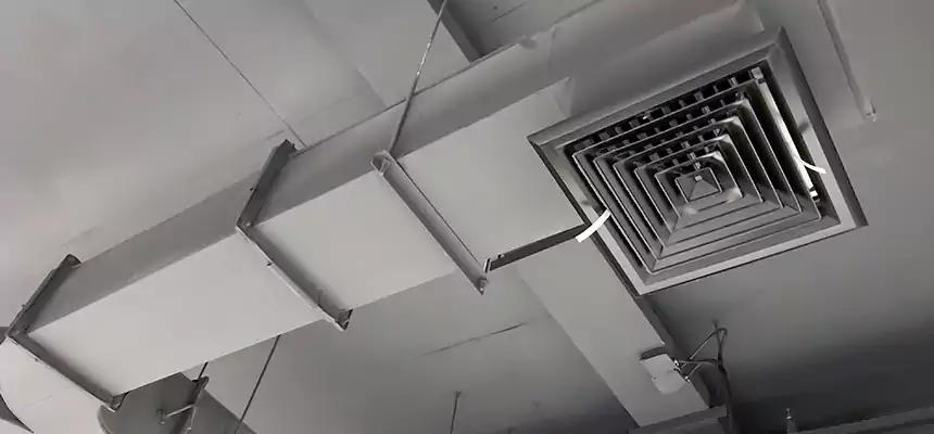 Restorative Allergy Relief Vent Cleaning – Coil, Blower & Housing Detail in Denton