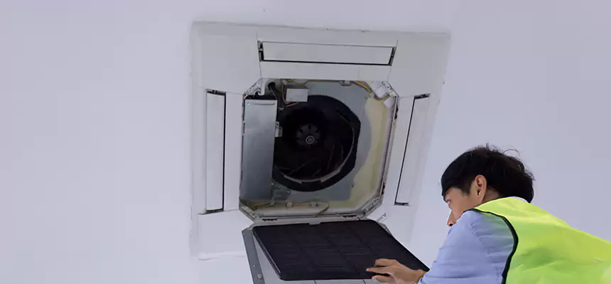 Our Dryer Vent Sanitization Service Services in Denton, TX