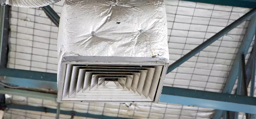 Our HVAC Mold Remediation Service Services in Denton, TX