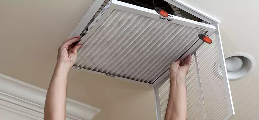 Our Insect Removal from Air Ducts Services in Denton, TX