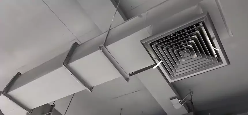 Our Pest Removal From Ducts Services in Denton, TX