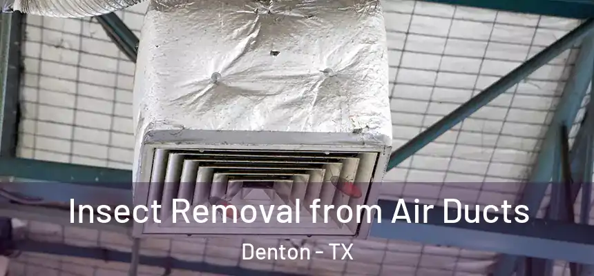 Insect Removal from Air Ducts Denton - TX