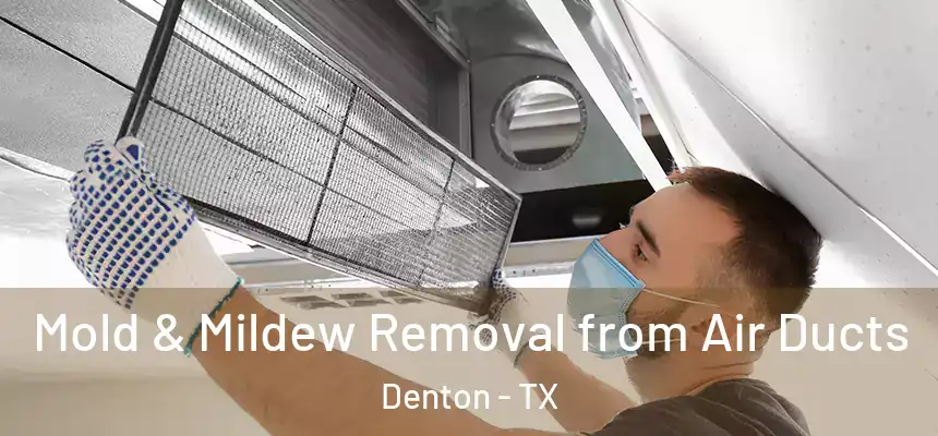 Mold & Mildew Removal from Air Ducts Denton - TX