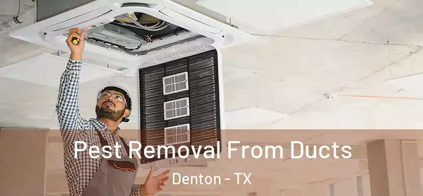 Pest Removal From Ducts Denton - TX
