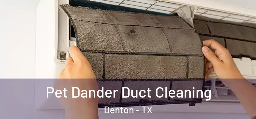 Pet Dander Duct Cleaning Denton - TX