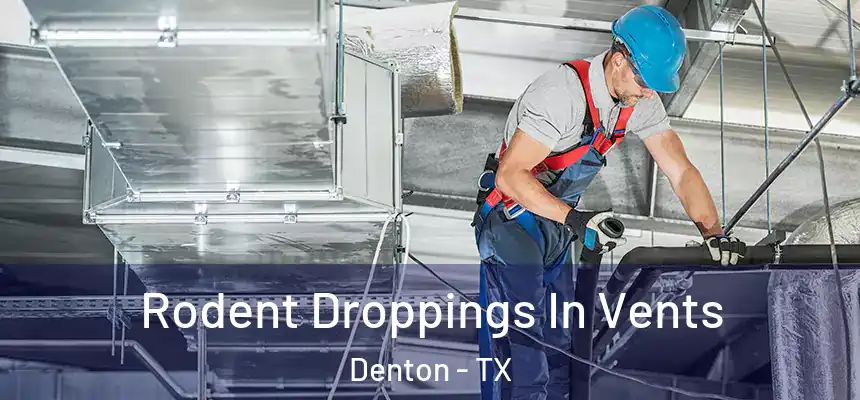  Rodent Droppings In Vents Denton - TX