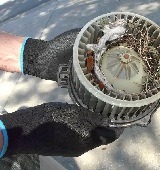 About Air Duct Mice Removal in Denton, TX