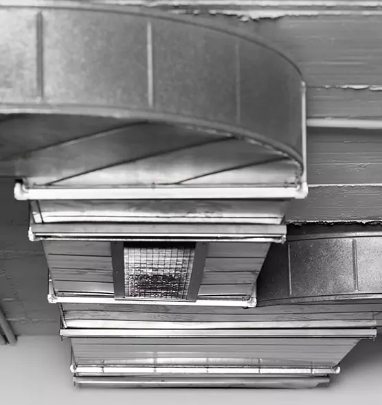 Professional Air Duct Pest Removal in Denton, TX