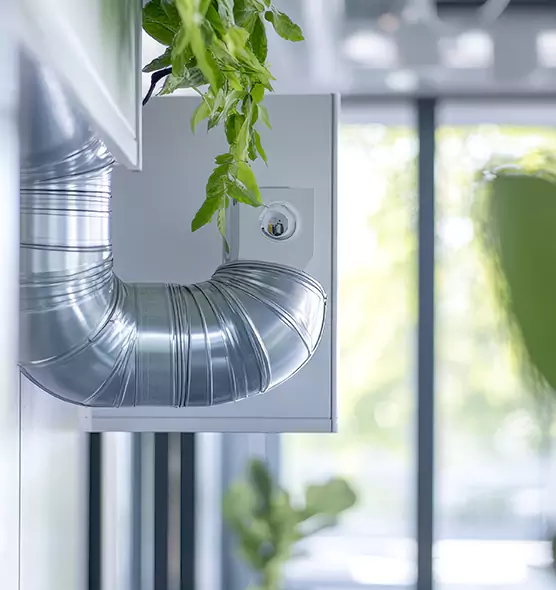 Professional Eco-Safe Dryer Vent Cleaning in Denton, TX