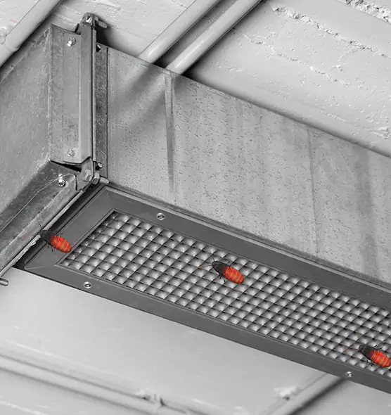Affordable Insect Removal from Air Ducts in Denton, TX