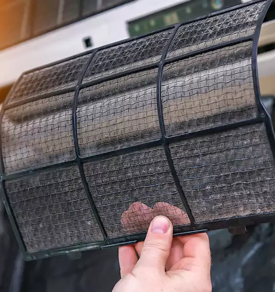 About Pet Dander Duct Cleaning in Denton, TX